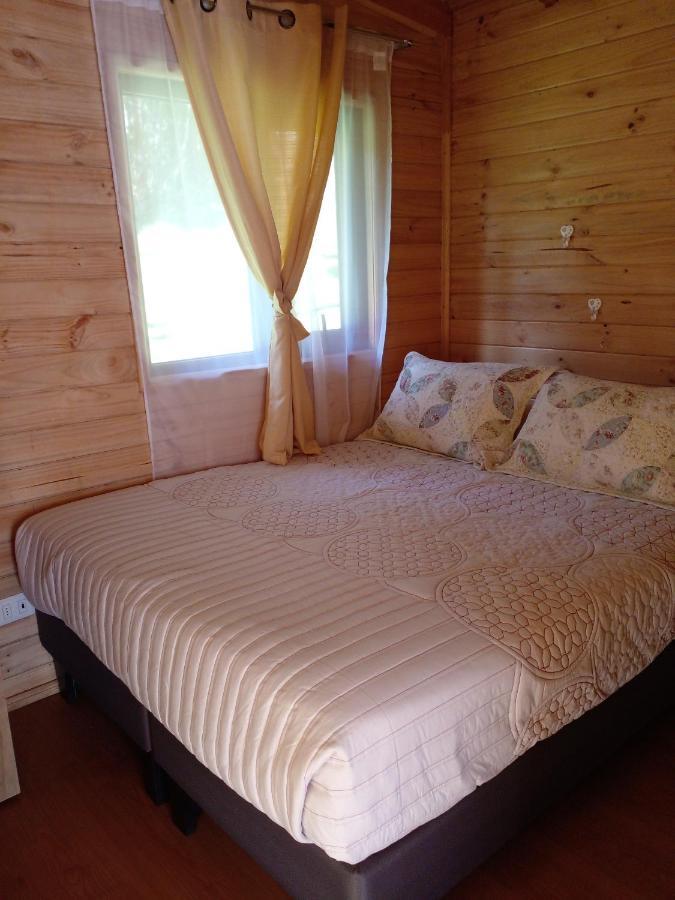 Eco Cabanas Wanderlust 普尤瓦比港 外观 照片